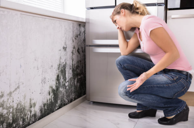 mold near refrigerator